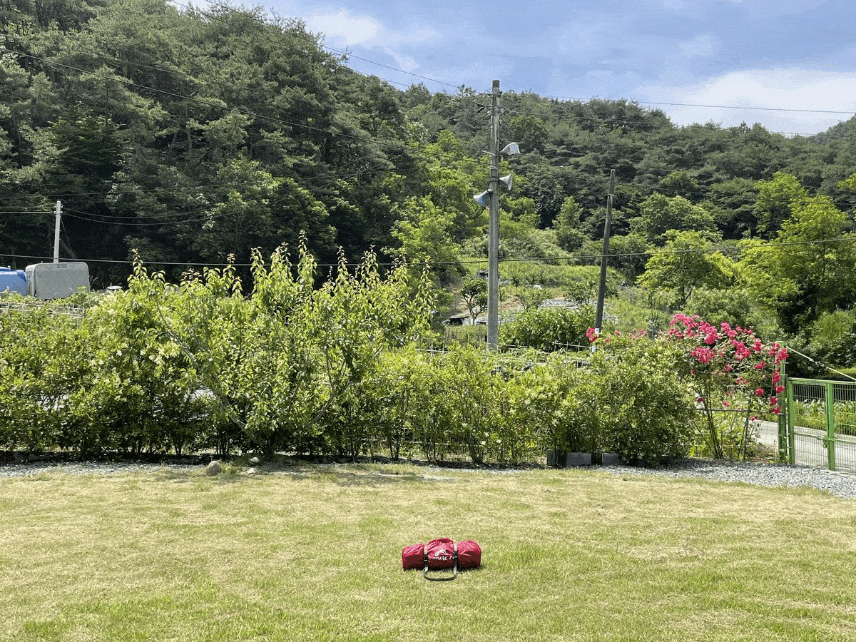 6ee70969e4832b5d845923ee91c8907f_1691640716_6315.gif